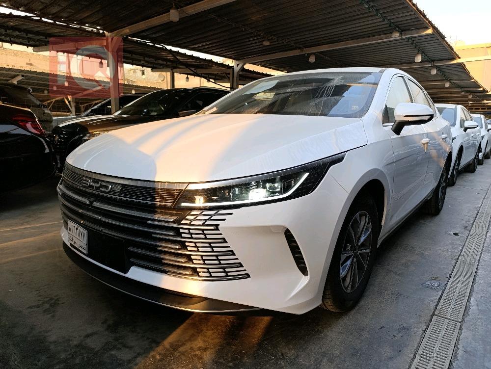 بی وای دی دیسترۆیەر 05